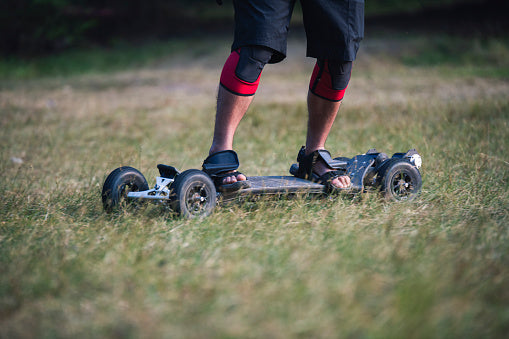 Adult Electric Skateboard